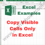 Excel Example – Copy Visible Cells Only in Excel