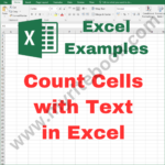 Excel Example – Count Cells with Text in Excel